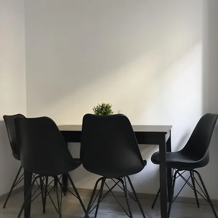 Apartment Modern Muse